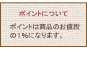 ポイントについて